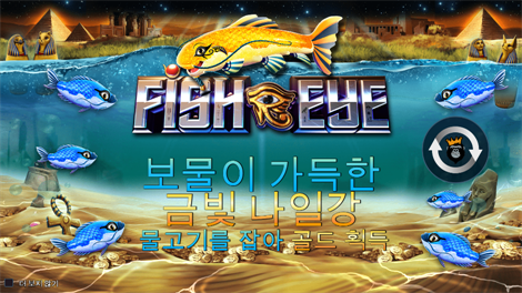 디스코 레이디